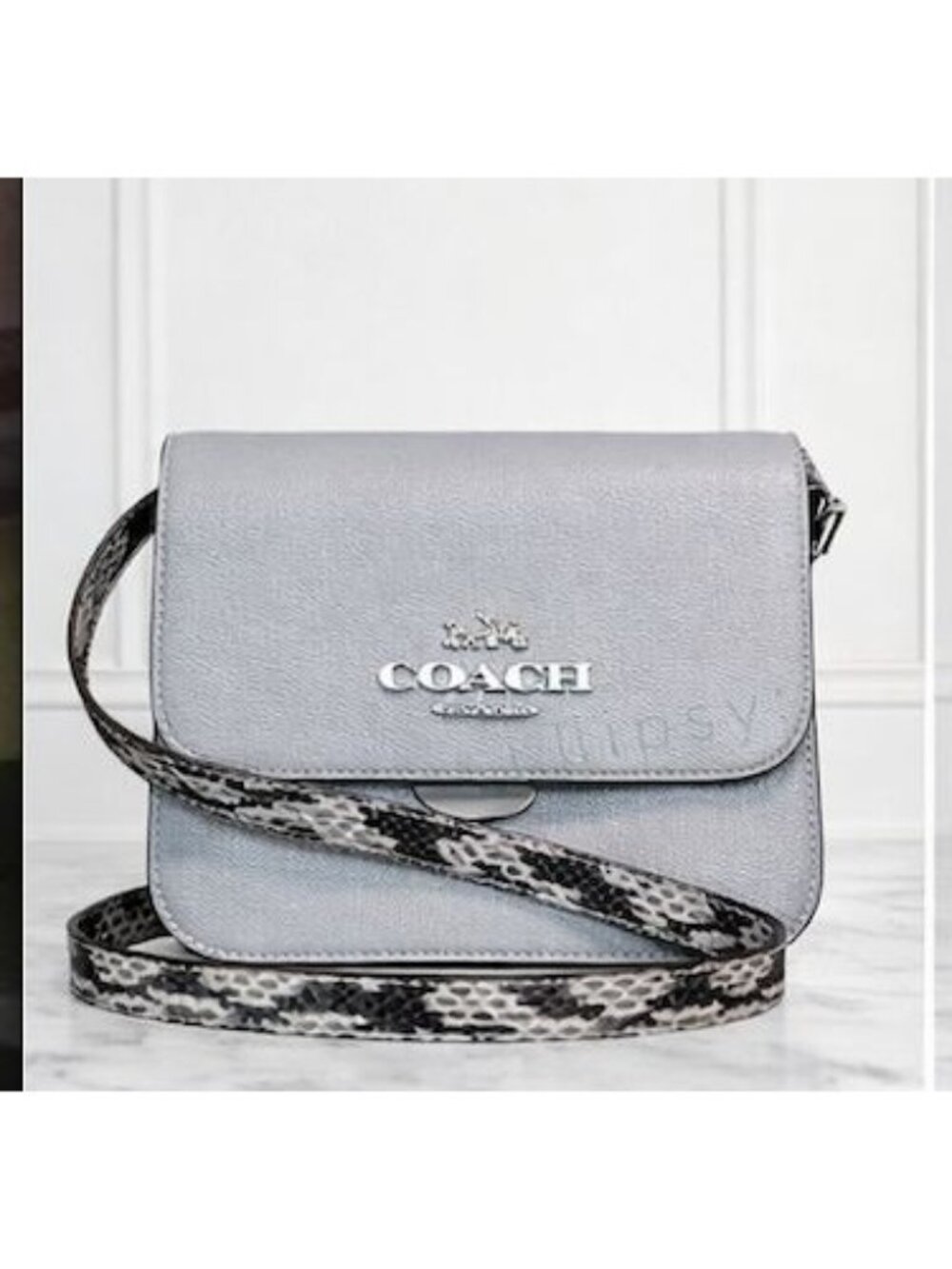 BEAUTIFUL!!  Coach Grey Brynn Shoulder Bag/Crossbody Bag with Matching Python St
